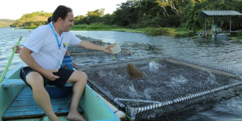 Pedro Duarte Guimarães