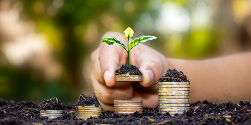 Francisco Gonçalves Perez