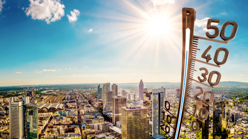 Plantar florestas urbanas é estratégia para combater extremos climáticos, destaca Aldo Vendramin.

