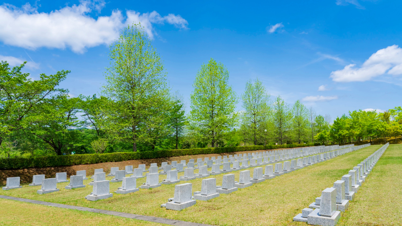 Tiago Oliva Schietti aborda a organização e o cuidado em cemitérios para animais.