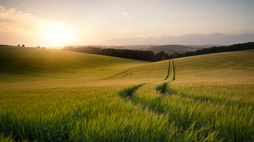 Ler sinais no campo faz parte da agronomia segundo Alfredo Moreira Filho.