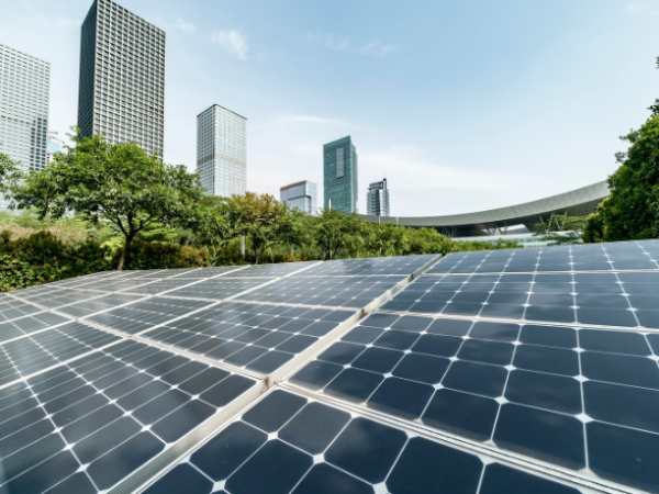 Elmar Juan Passos Varjão Bomfim