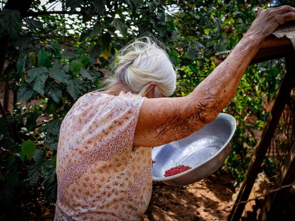 Mulher idosa cuida de plantas em uma área externa, em ambiente rural.