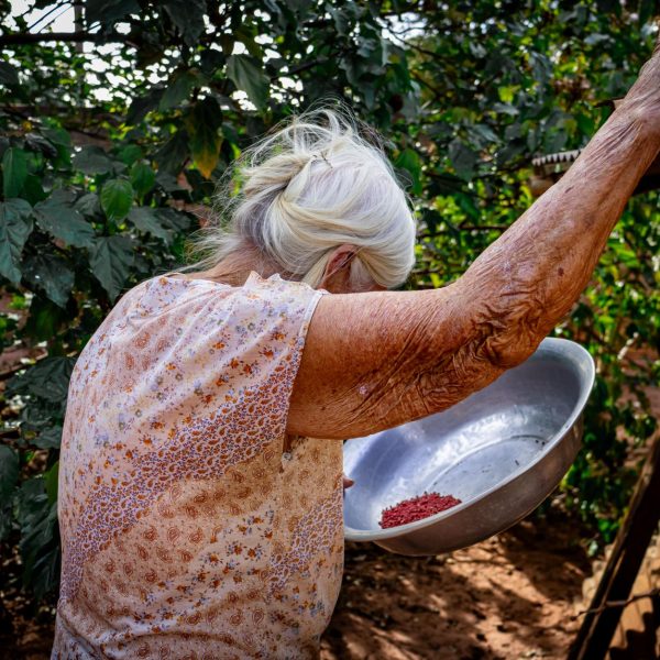 Mulher idosa cuida de plantas em uma área externa, em ambiente rural.