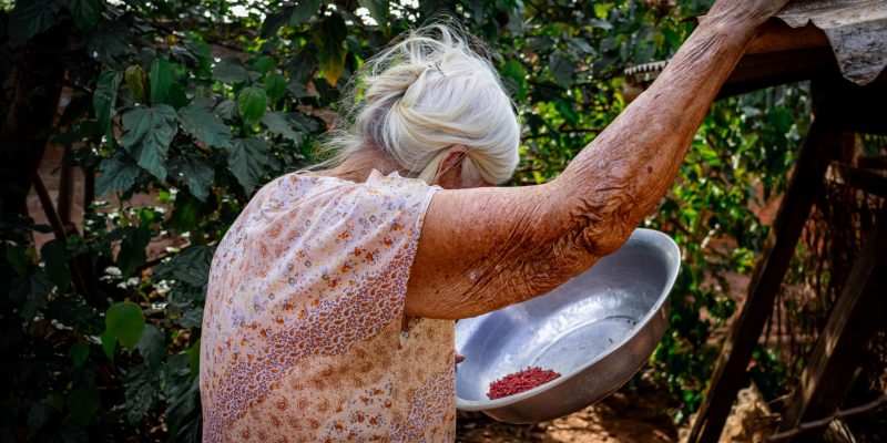 Mulher idosa cuida de plantas em uma área externa, em ambiente rural.